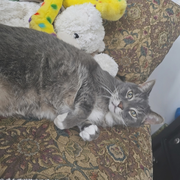 Meet the Posher! - Picture 4 of 4